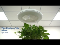 침실을 위한 똑똑한 App 통제 20 인치 매립형 LED 천장 선풍기