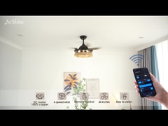 로프 케이지 숨겨진 블레이드 천장 팬 라이트 원격 제어 DC 모터