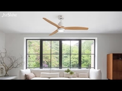 DCF-TB52181LP-화이트